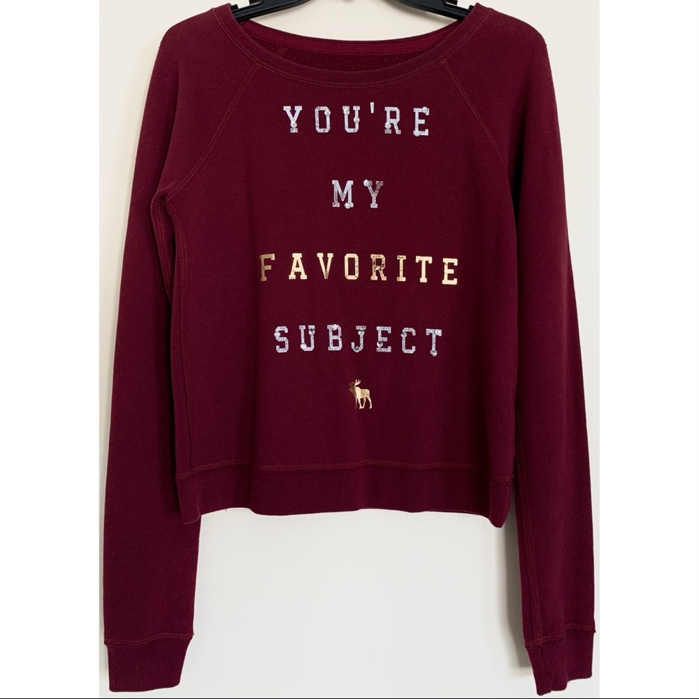 Abercrombie & Fitch Maroon Crewneck Sweater
